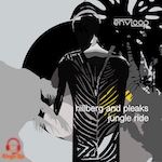 Hillberg and Pleaks - Jungle Ride (Envloop) Groovy Jazzy Club - Classic Paradise Garage Club